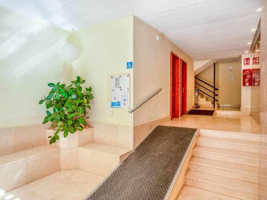 Inftour Apolo Iii Apartamento